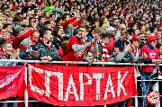 Spartak-horse (39)